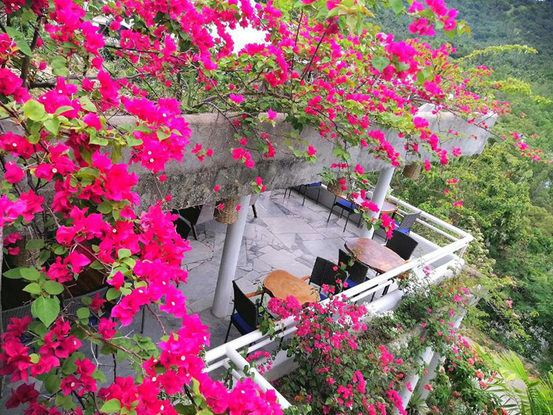 Lonos Circle Private Garden 9